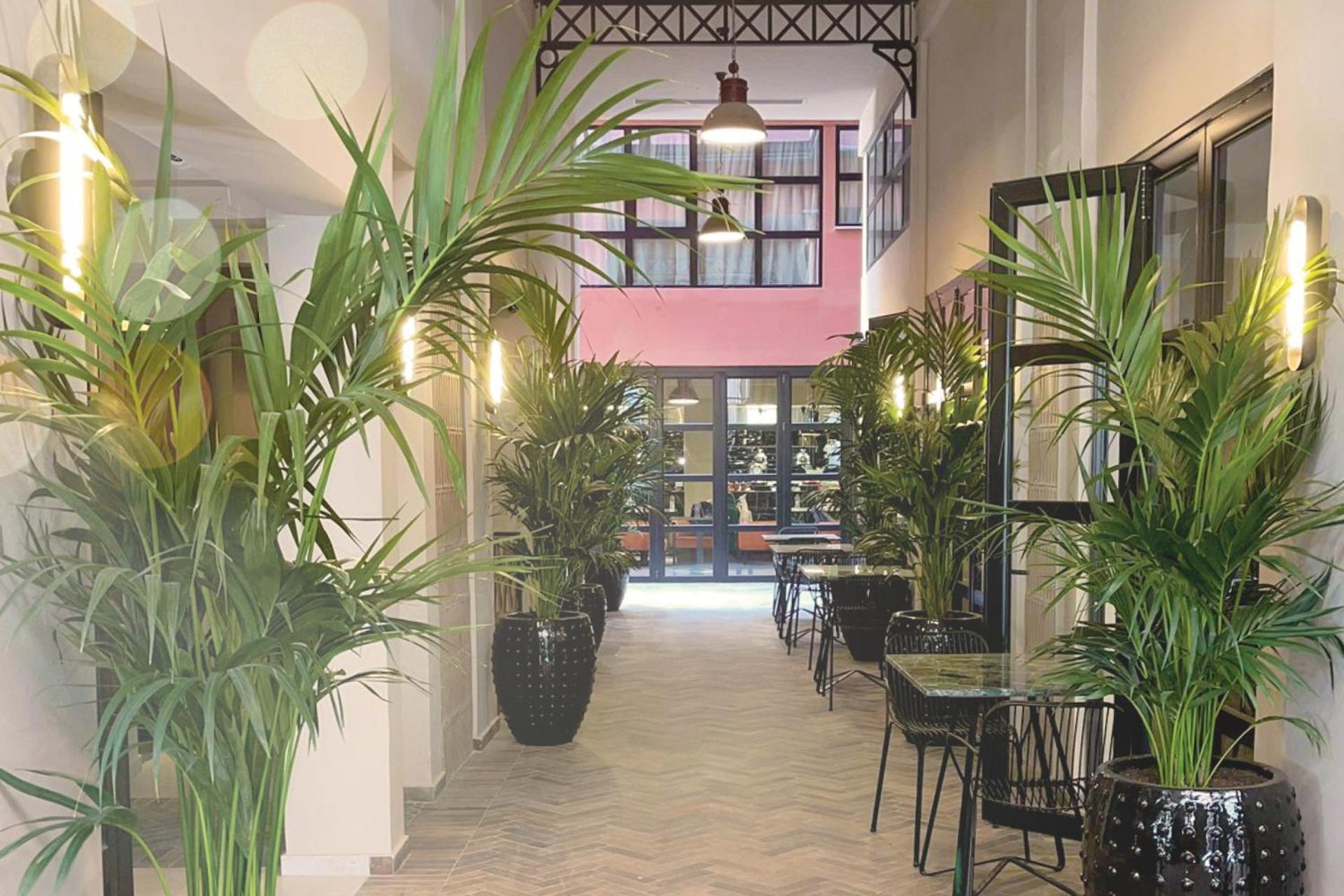 Anise, Aluma Hotels & Resorts أثينا المظهر الخارجي الصورة